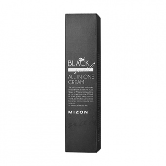 MIZON Silný regenerační krém na obličej s hlemýždím slizem Black Snail All in One Cream 35ml